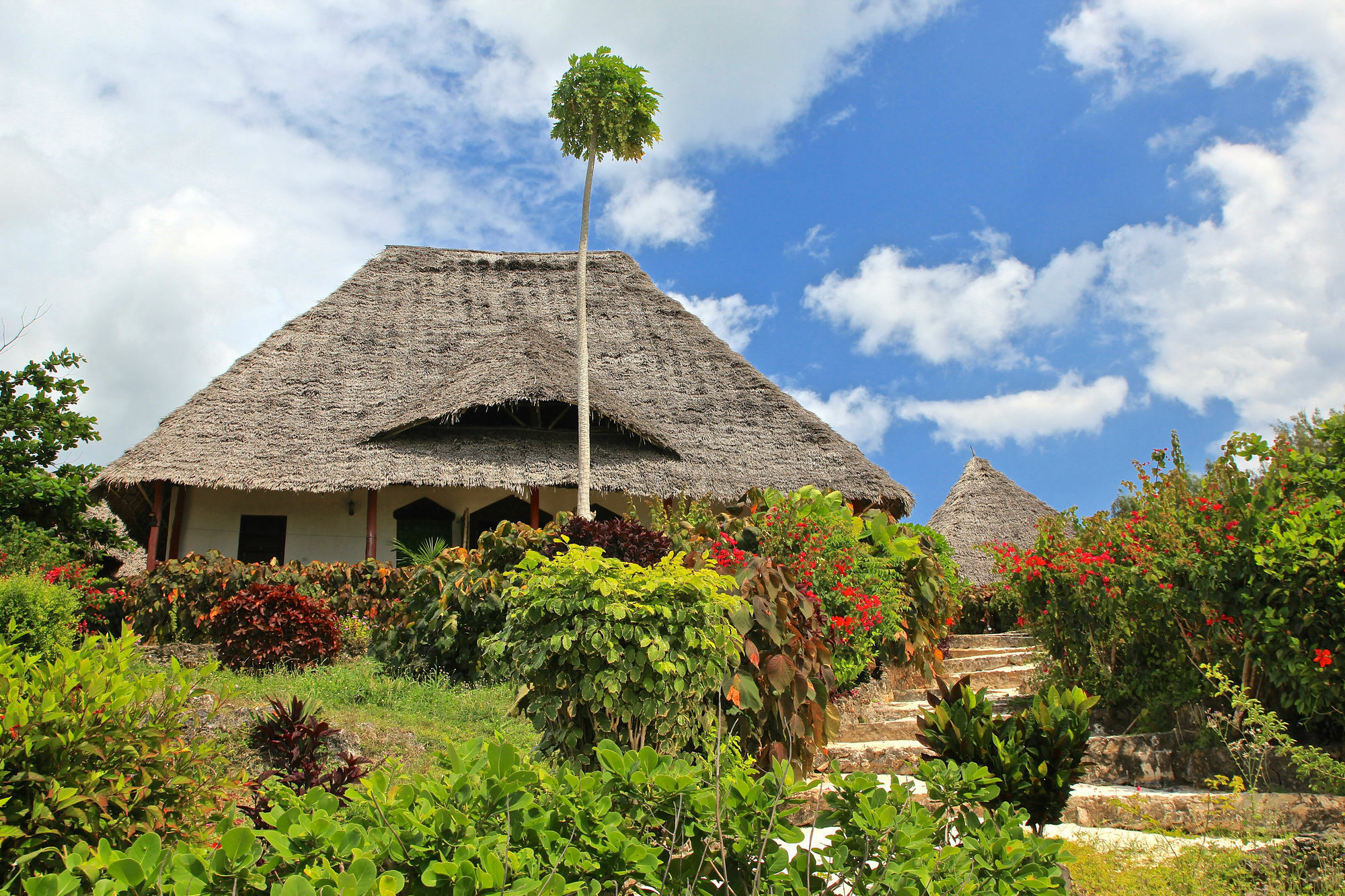 Sazani Beach Lodge And Tidal Lounge Nungwi Extérieur photo
